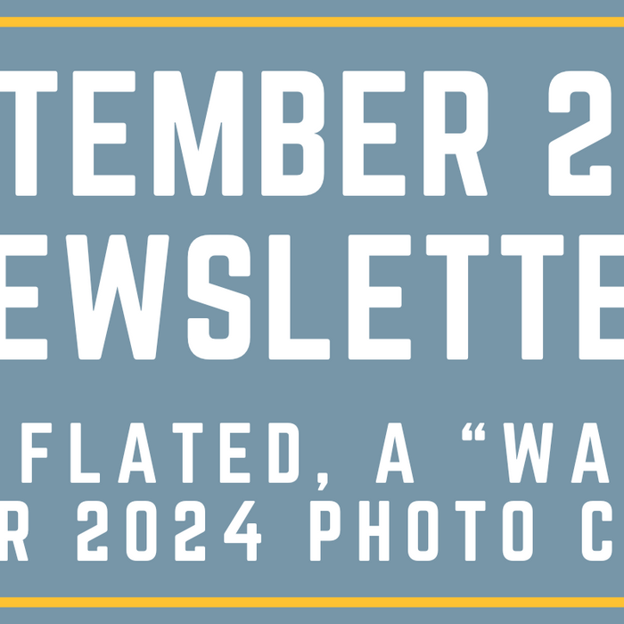 NEWSLETTER - SEPTEMBER 2024